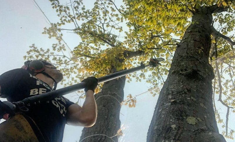 Best Electric Pole Saw Buying Guide