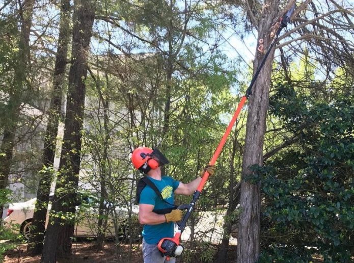Best Gas Pole Saws of 2022 Trim Tree Branches Easily