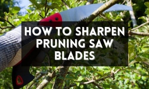 How To Sharpen Pruning Saw Blades